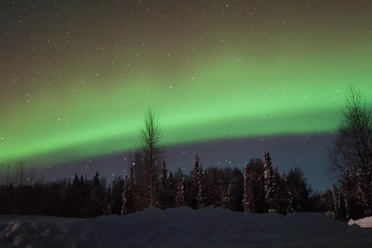 Susitna River Lodging, Backwoods Cabins Толкітна Екстер'єр фото