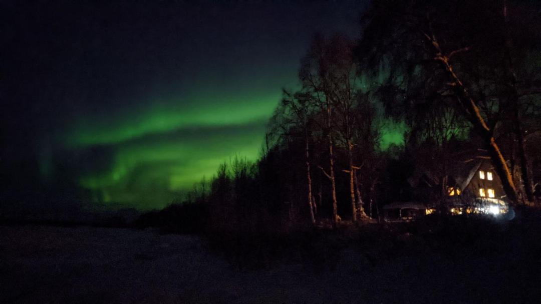 Susitna River Lodging, Backwoods Cabins Толкітна Екстер'єр фото